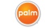    Palm